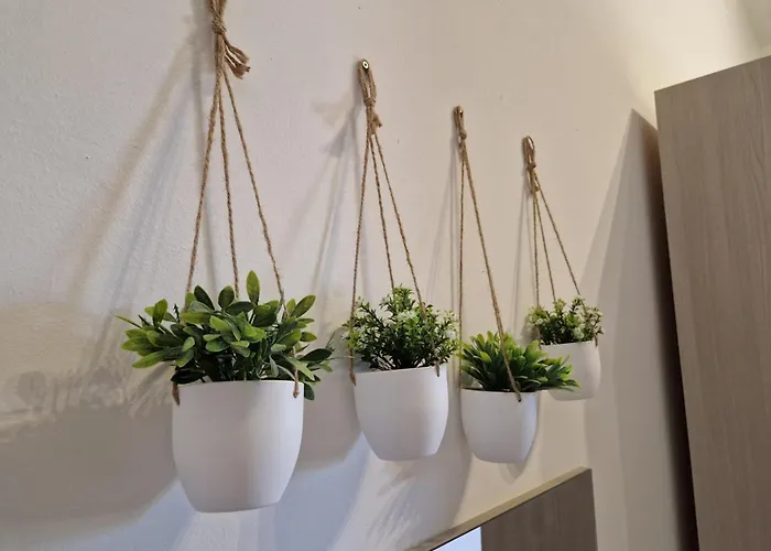 בית הארחה District ויקטוריה